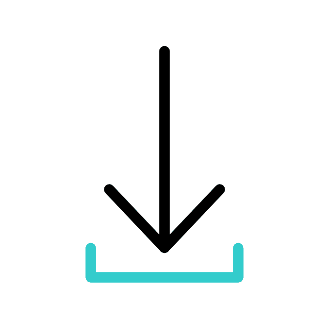 Download Icon